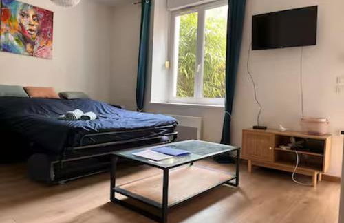 Joli studio au rdc avec cour - Foto 5