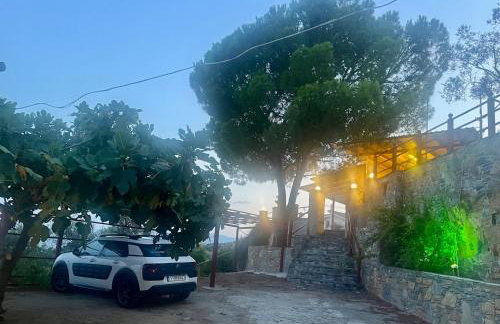 Alexander's - Foto 16