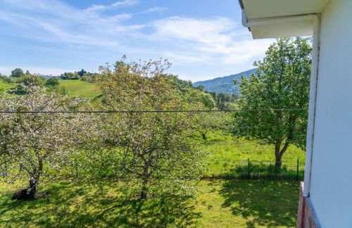 Preciosa casa rural en Nava - Foto 36