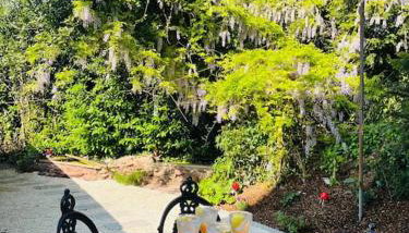 Chelston Grange Torquay Near the Beach with Private Garden & Parking - Foto 1