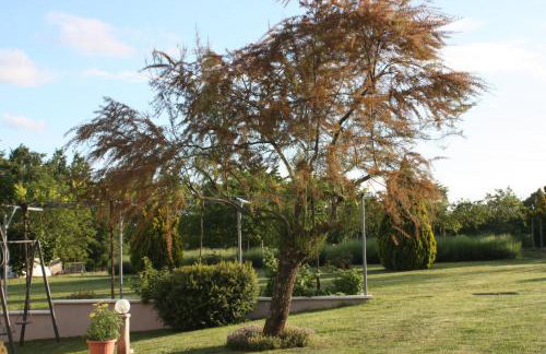 Apartment Borna - Photo 15