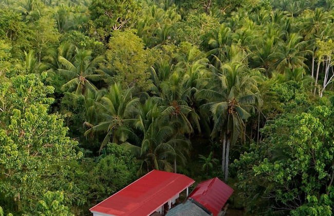 Rose Apartments - Foto 23