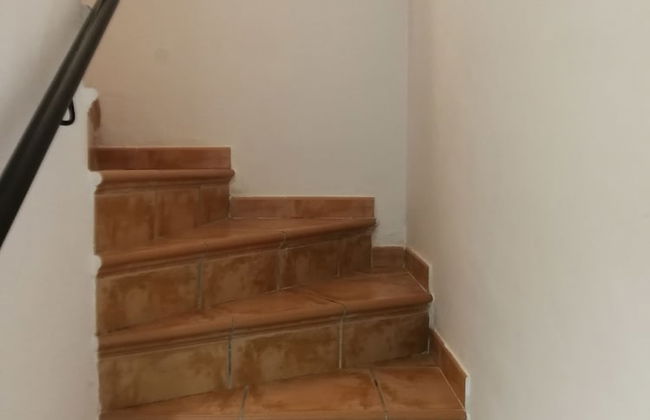 Velez Nazari - Photo 79