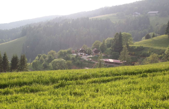 Apartment in Liebenfels in Carinthia Near ski Area - Foto 15