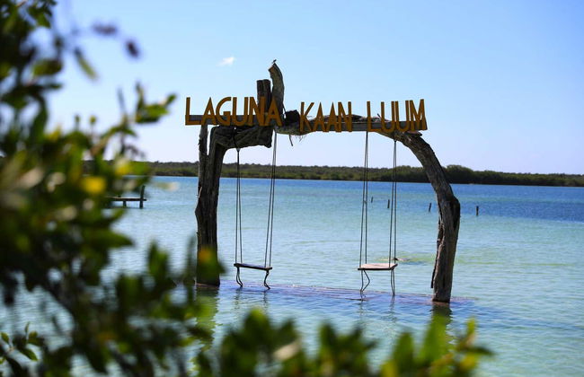 Escursione alla laguna di Kaan Luum e cenote maya - Foto 19
