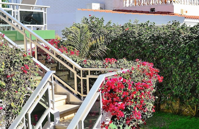 Apartamentos Oasis Maspalomas - Foto 29