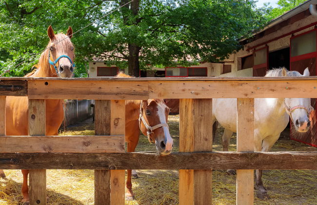 Country house D&D - Foto 38