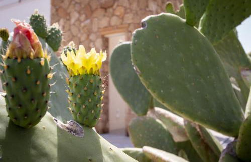 Villa Afrodite | Luxury Villa and Pool - Foto 46