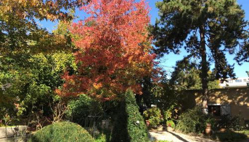 Appartement fond de jardin rez-de-chaussée - Foto 2, Garden