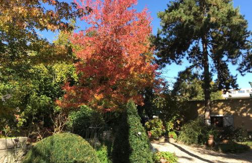 Appartement fond de jardin rez-de-chaussée - Foto 2