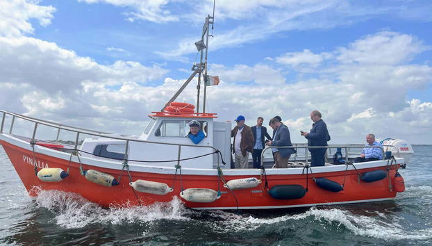 Boat Trip around Howth and Ireland's Eye - Foto 2