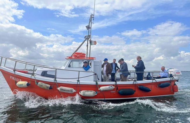 Boat Trip around Howth and Ireland's Eye - Photo 2
