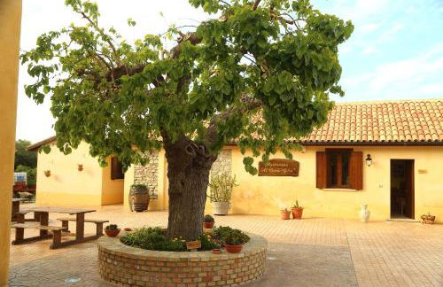 Al Grande Gelso - Foto 12