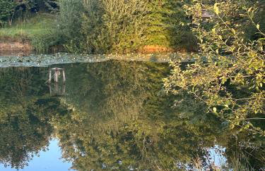 Woodlands Luxury Lake Log Cabin - Vetiver Villa - Foto 20