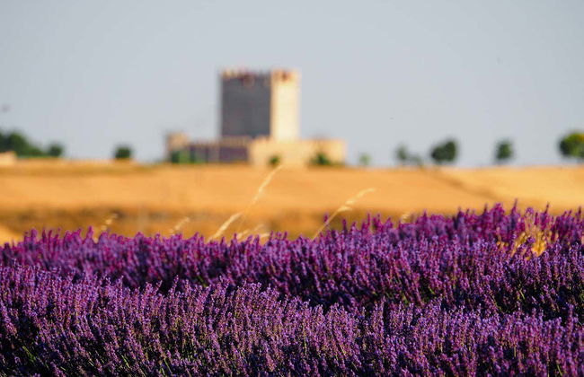Visita guidata di Tiedra - Foto 1