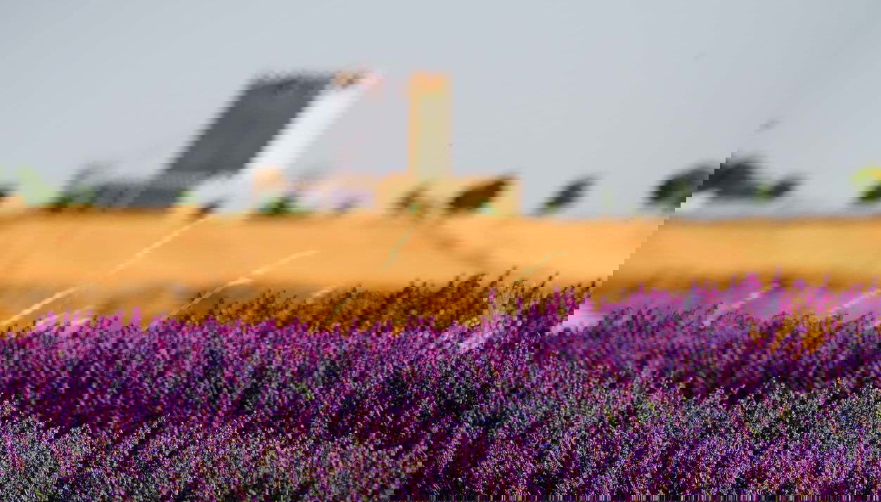 Tour in Tiedra - Foto 1