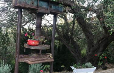 Apagio Othonoi Car Included - Foto 8