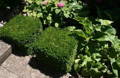 Apartments by the sea Zaostrog, Makarska - 6799 - Foto 11