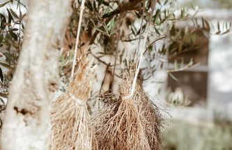 Sikalindi Apulia - Foto 33