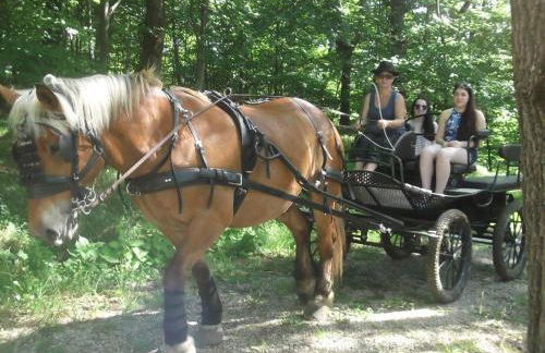 Chalets du Bois de Vache - Foto 48