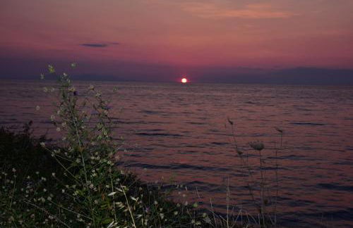 Salt and petals - Foto 57