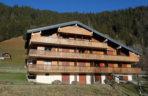 Appartement 4 personnes au pied des pistes du Linga à CHÂTEL - Foto 11