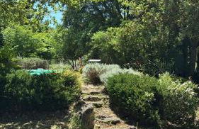 La Bastide des Chênes Lacoste - Photo 7