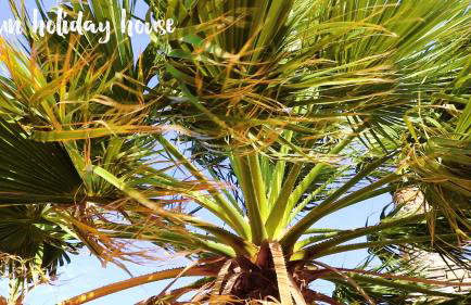 Sun Holiday House - Foto 14