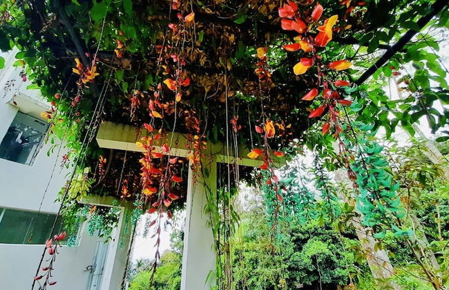 Villa Vajrapani - Foto 17