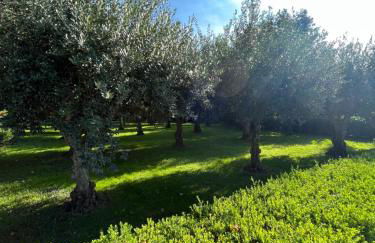 Il Giardino di Athena 1 - Foto 24