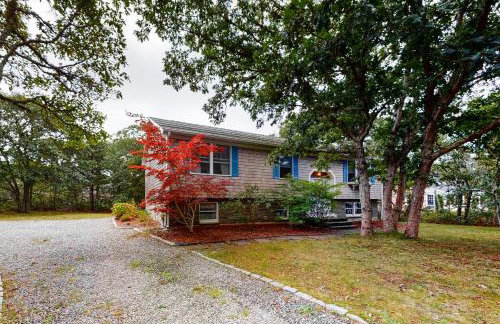 Summer Daze - Foto 1