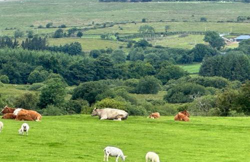 The Truck with private hot tub - Forest View - Foto 19