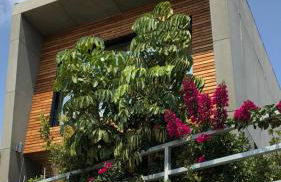 Luxury Villa Beach & Golf - Foto 47