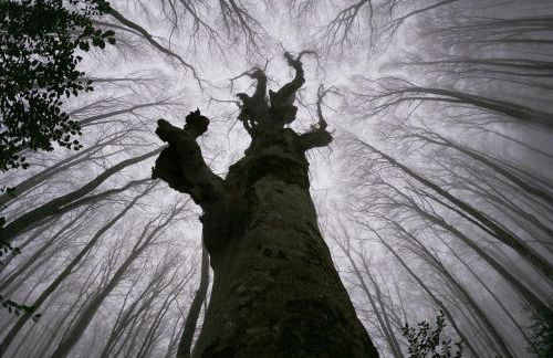 Casa Vacanze Margherita - Sasso di Castalda - Foto 25