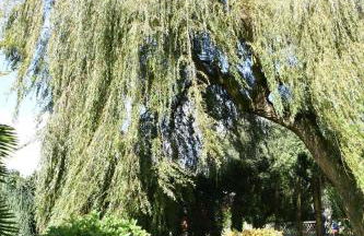 GITE MAEN ROCH - Foto 17