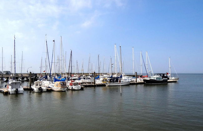 Nordsee-ferienhaus mit Terrasse - Foto 33