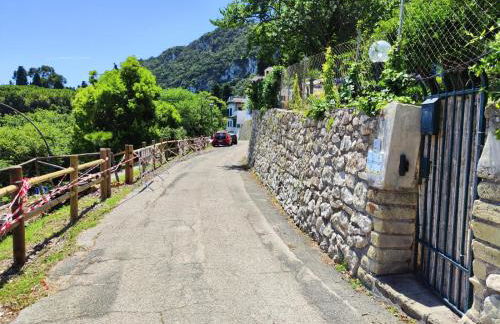 Ippocampo Blanc - Foto 6