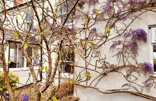 Barn End Cottage - Foto 35