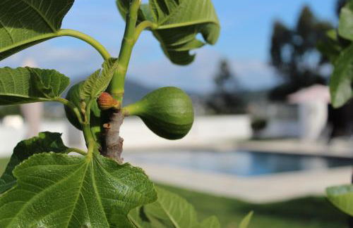 Casa d'Amares - Foto 22