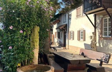 Exklusives Haus, ruhig gelegen im Innenhof, zentral, lichtdurchflutet Zustellbett,Babybett bei Bedarf - Foto 20