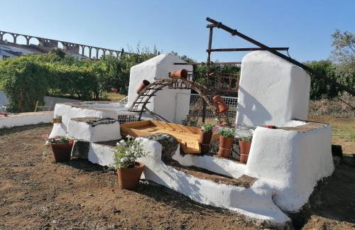 Horta das Laranjas - Foto 16