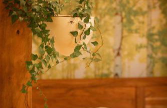 BioNestlein Wellness Apartments mit Biosauna und Wintergarten - Foto 8