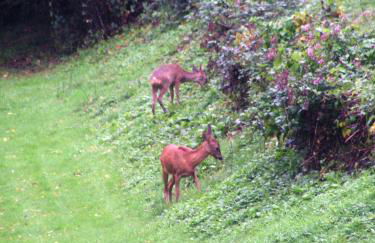 Moulin des Vernes - Foto 26