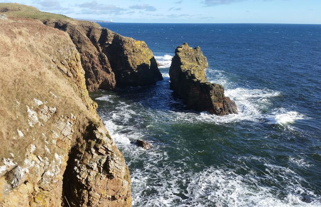 Bespoke Hand Built Shepherds Hut in Dunbeath - Foto 30