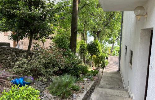 Golden Oasis - Foto 37