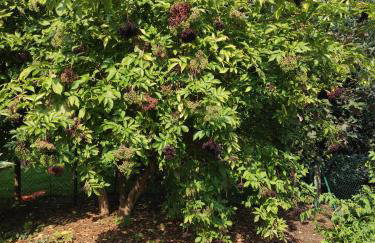 Hamburg-Rahlstedt, klein aber sehr fein, ILS-nah - Foto 25