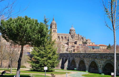 Casa de campo Olmo, jardín y piscina a 20 minutos de Salamanca - Foto 36