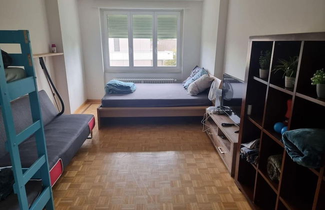 Stunning 3-bed Apartment in Basel - Foto 8