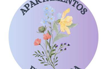 Apartamento Lavanda - Foto 15