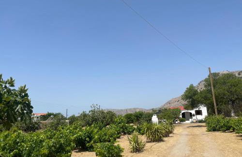 Aegean Endless Summer Villa Pefkos - Foto 68